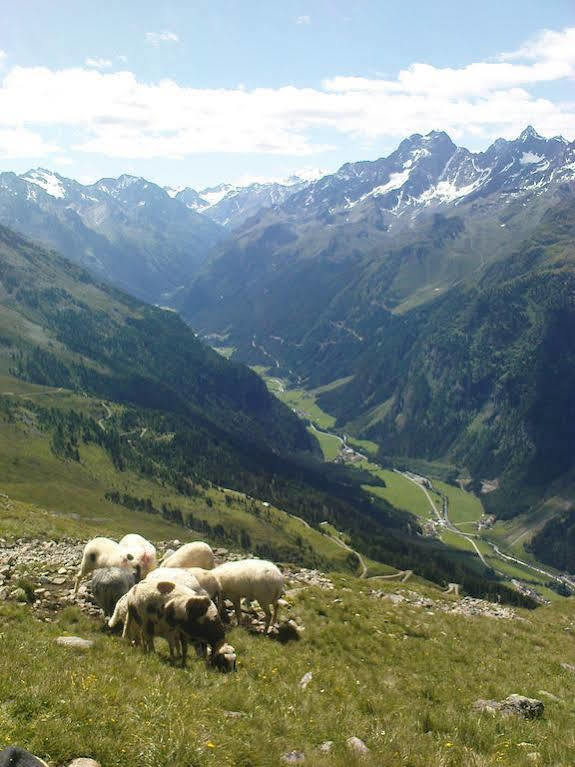 Ferienwohnung Bergspitz Sankt Leonhard im Pitztal Exterior photo